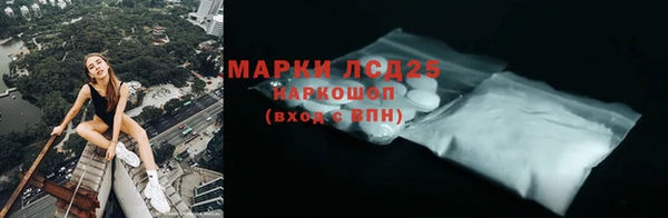 кокс Касимов