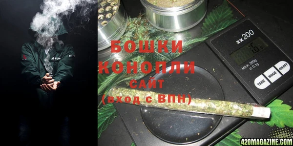кокс Касимов