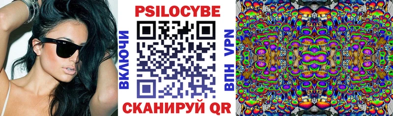 наркота  Киржач  Галлюциногенные грибы Psilocybe 