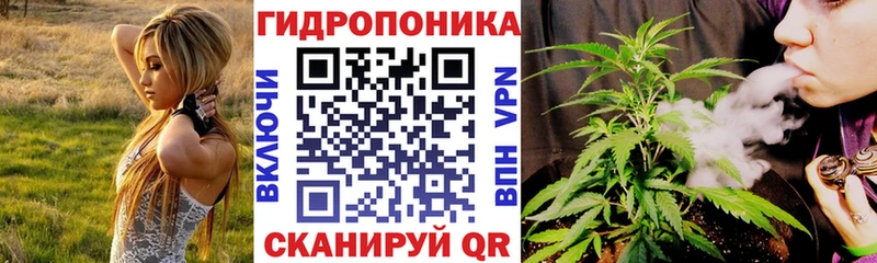 сайты даркнета какой сайт  где продают наркотики  Киржач  Бошки Шишки сатива 